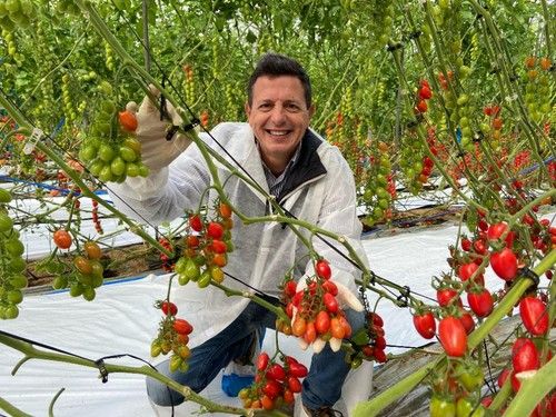 Manuel Hernández, especialista de cultivo de tomate de Rijk Zwaan
