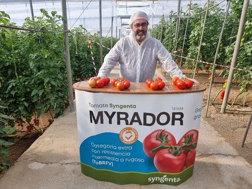 Rafael Salinas, responsable de producto de Syngenta
