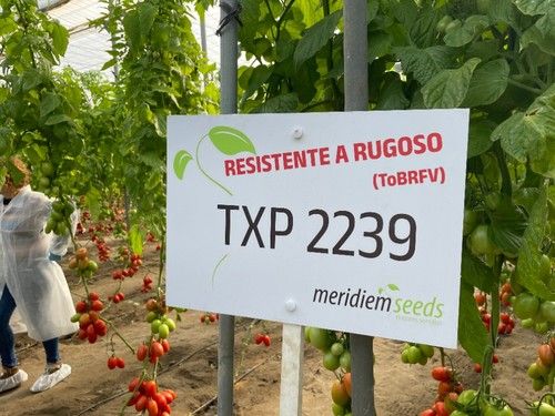 TXP 2239 permite realizar tanto ciclos cortos como aguantar todo el año