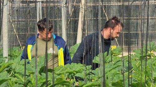 Los agricultores se interesaron por la convocatoria de Syngenta