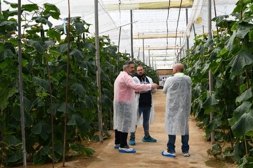 Javier López, de Rijk Zwaan, junto con agricultores