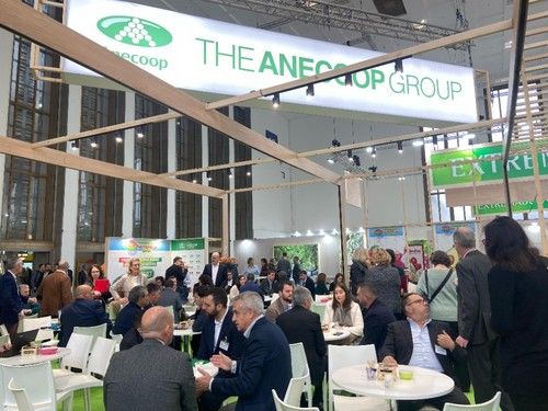 Stand de Anecoope.