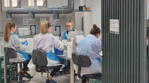 Trabajadores del laboratorio de procesado de semillas