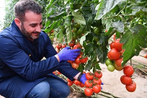 Sergio Gázquez muestra frutos de la variedad Cabosur