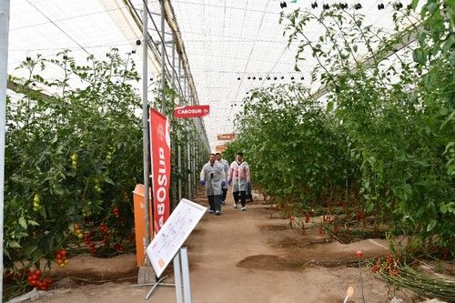 Las jornadas se han realizado dos días en la finca DEMO de la obtentora