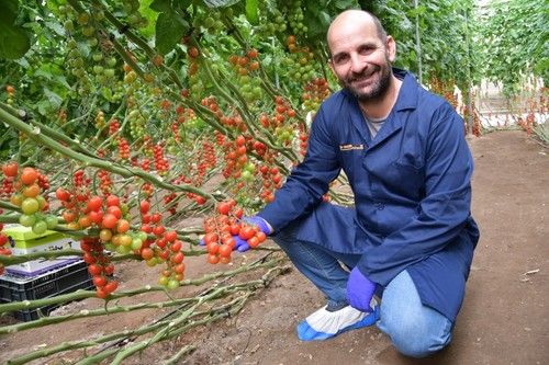Juanmi Agüero, Principal Specialist Product Development de BASF, con frutos de Daivion