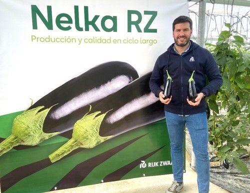 José Jiménez, especialista de berenjena de Rijk Zwaan
