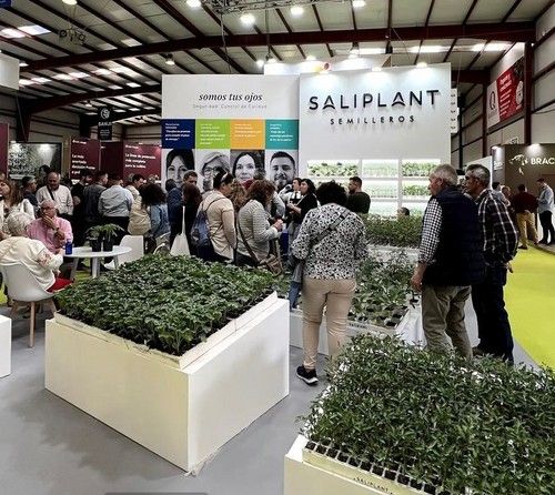 Stand de Semilleros Saliplant