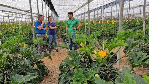 Atendiendo a los agricultores y técnicos interesados.