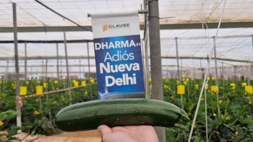 Forma parte del catálogo NO-ND contra el virus de Nueva Delhi