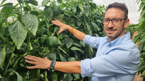 David González, delegado comercial de HM.CLAUSE, muestra el cuaje de Kefrén