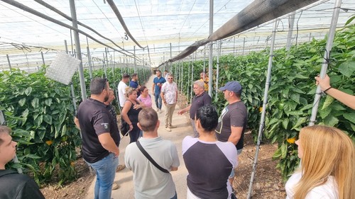 Agricultores escuchando las explicaciones del personal de HM.CLAUSE