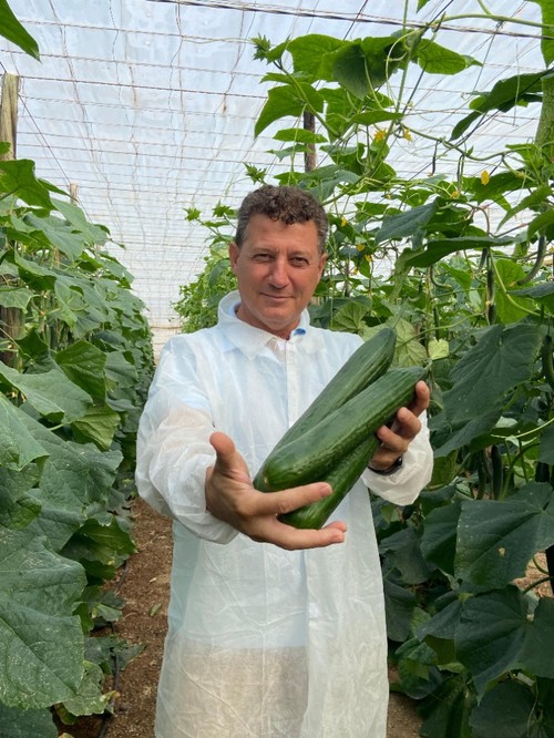 José Luis Ruipérez, de Rijk Zwaan, mostrando el pepino Trueno RZ en caña