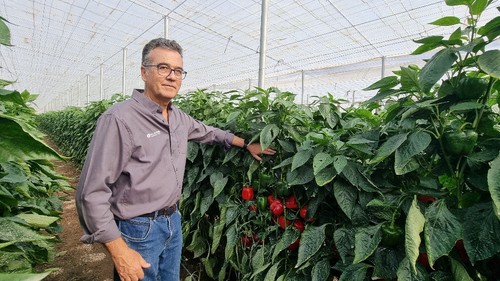 Achón muestra la producción de Kefrén