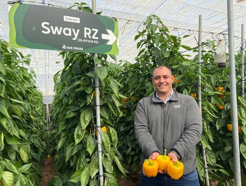 Armando Pérez, delegado comercial de Rijk Zwaan