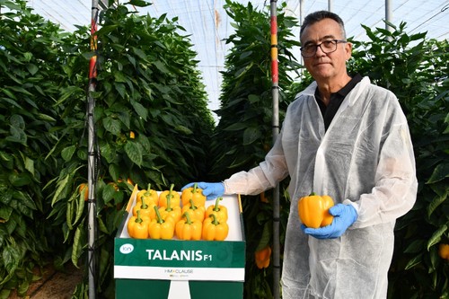 Achón muestra el calibre GG de Talanis