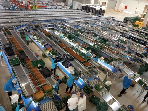 La reconstrucción ha supuesto una inversión de cerca de 37 millones de euros