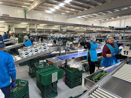 La nave ocupa 31.000 metros cuadrados, con 45.000 construidos