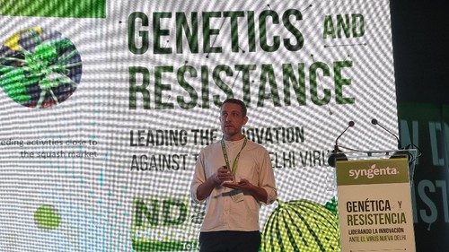 Guillaume Menet, jefe del equipo de mejora genética del calabacín de Syngenta