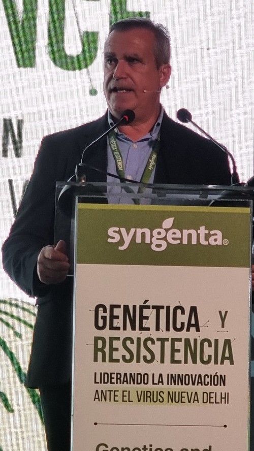 Luis Miguel Hernández, gerente de Coexphal, habló de la oscilación de superficie de pepino, calabacín y melón en la provincia de Almería