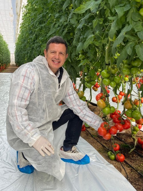 Manuel Hernández, especialista de tomate de Rijk Zwaan