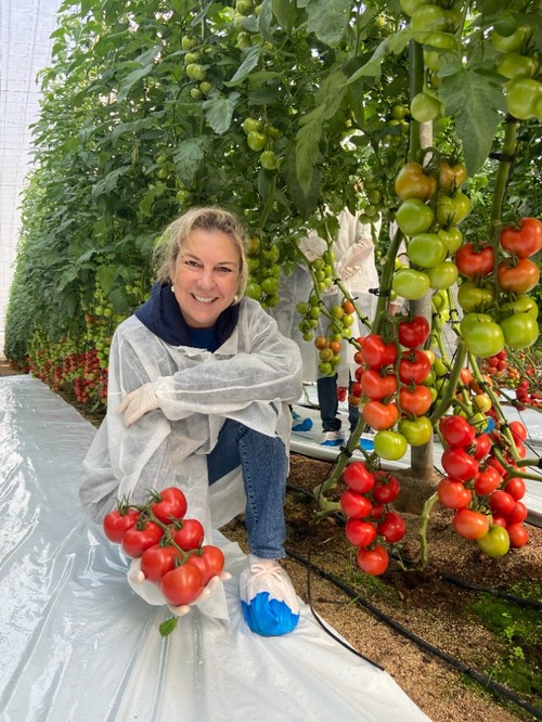 María del Mar Gimeno, delegada comercial de Rijk Zwaan en la zona de Levante