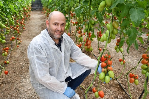 Tony Lorente, técnico comercial de Meridiem Seeds