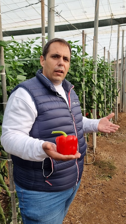 José Ramón Martínez Arnau, de BASF|Nunhems muestra un fruto de Bikos F1