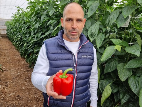 Antonio Miguel López, de BASF, muestra un fruto de Arkos F1