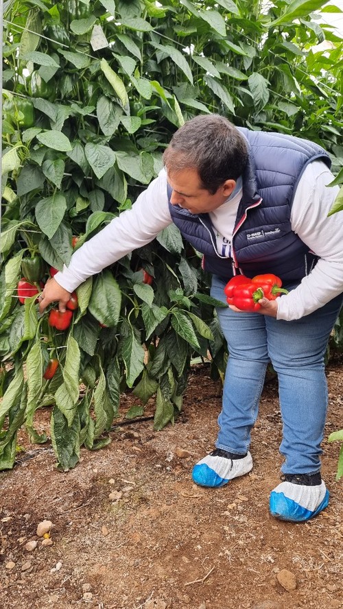 Mostrando la producción de Arkos F1