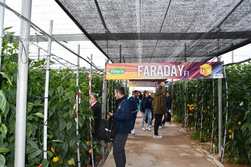 La finca recibió visitas durante toda la mañana de interesados en conocer sus variedades.