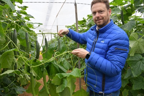 Jose Manuel Valledor, responsable de ventas en Almería de Seminis
