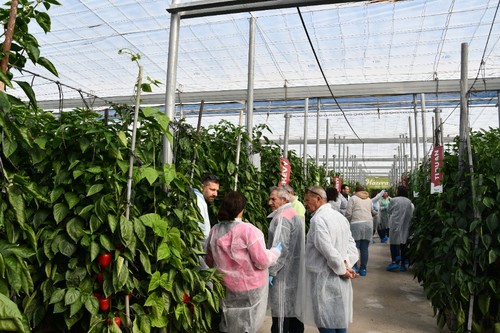 Grupos de agricultores informándose de las características de Tiguan y Chevy.
