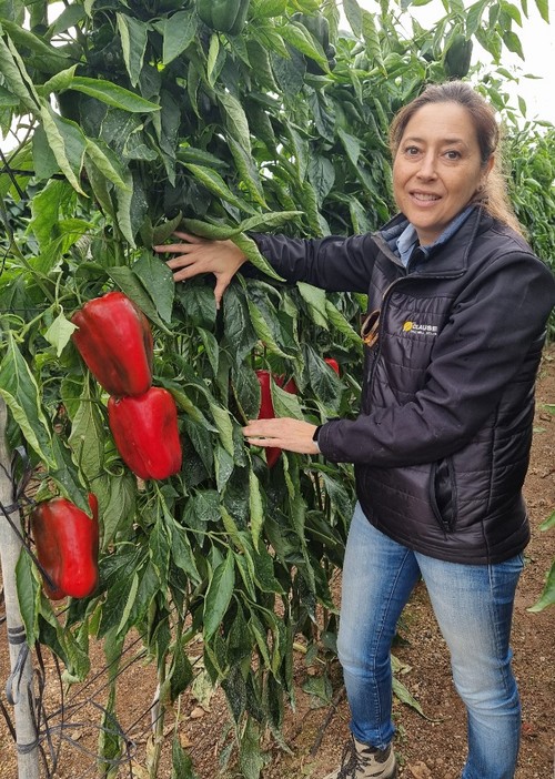 Beatriz Palmero, técnica de desarrollo de pimiento lamuyo y calabacín