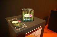 EasyQs, de SAT Agroiris, pepinos snack.