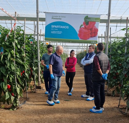 Algunos de los asistentes a la primera jornada de pimiento tardío de Syngenta