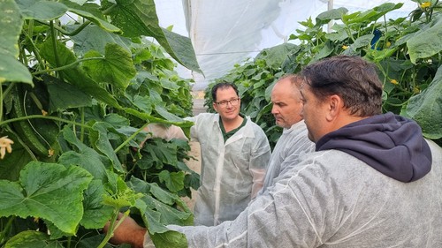 Agricultores y técnicos respondieron a la llamada de Semillas Fitó