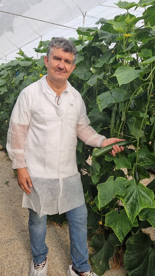 Alberto Lasheras, Crop Advisor de pepino y calabacín de Semillas Fitó