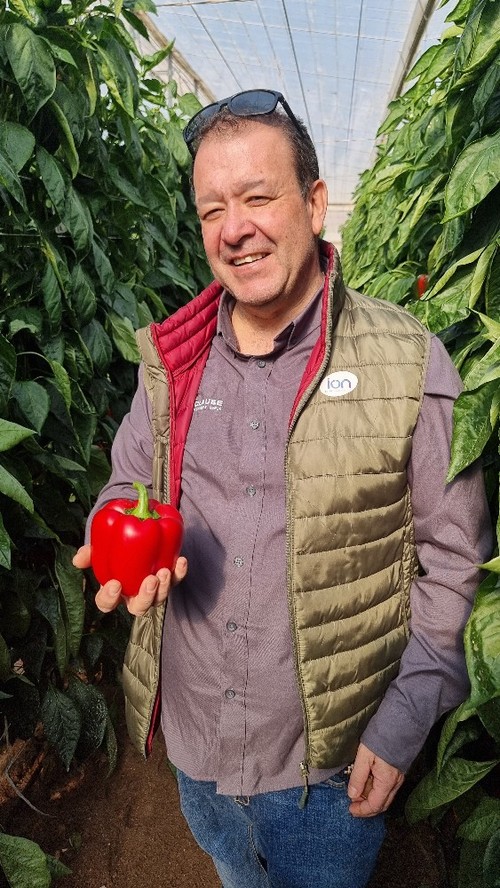 Omar Kaidi, delegado comercial de la obtentora, muestra un fruto de Ascalon