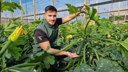 Jorge Fernández muestra una de las plantas de Yakarta F1