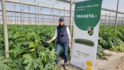 Beatriz Palmero, técnico de desarrollo de calabacín de HM.CLAUSE