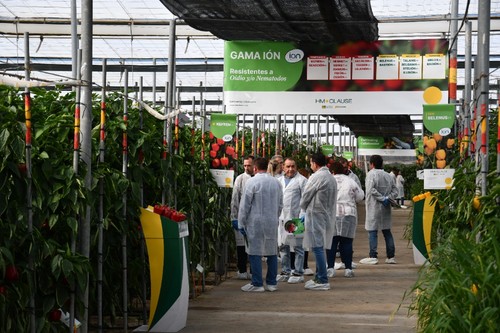 Grupos de agricultores visitando la finca vitrina de HM.CLAUSE.
