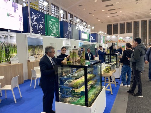 El espacio de Andalucía siempre concurrido con visitantes.