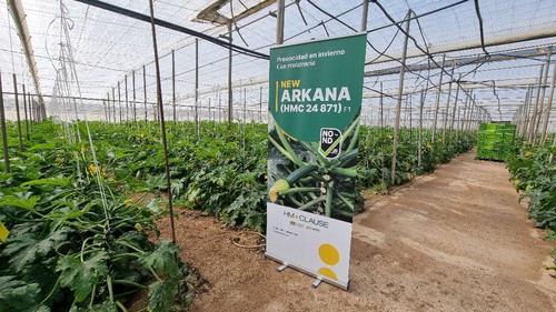Arkana se une al catálogo NO-ND para hacer frente al nueva Delhi