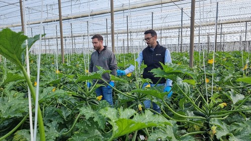 David González, técnico comercial de HM.CLAUSE, atendiendo a un agricultor