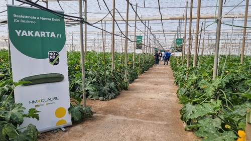 En la finca han podido verse las variedades Yakarta y Arkana