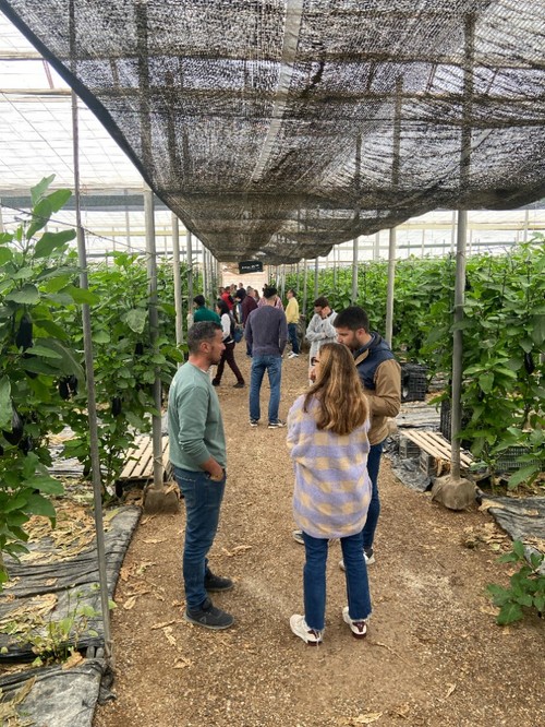 Numerosos agricultores y técnicos han pasado por La Mojonera para conocer en campo ambas variedades