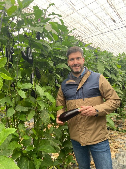 Pepe Jiménez, especialista de cultivo de berenjena de Rijk Zwaan