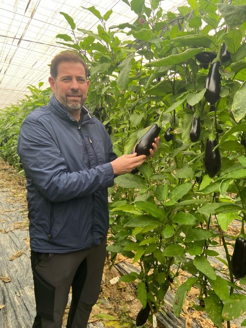 Rafael Carretero, dueño de la finca donde se ha celebrado la jornada de Katya RZ, posando con la variedad de Rijk Zwaan