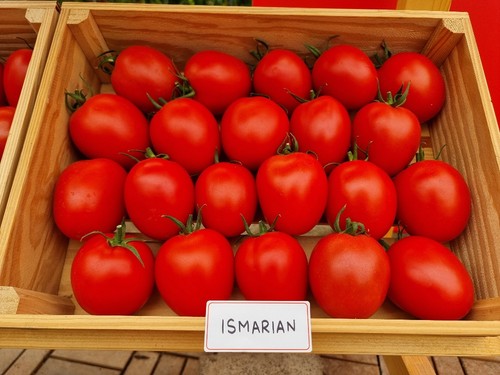 Ismarian, un nuevo pera con calibre